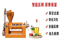 茶油榨油機(jī)多少錢一臺？