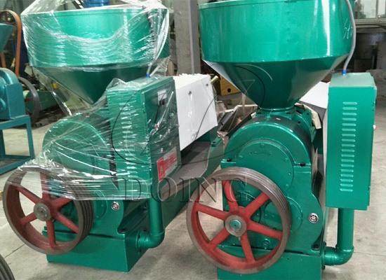 東盈公司生產(chǎn)的小型棕櫚仁榨油機正在試機