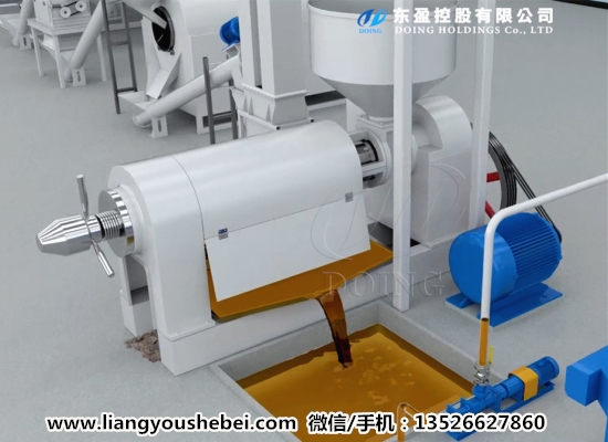 500kg/h小型棕櫚仁油榨油機3D視頻