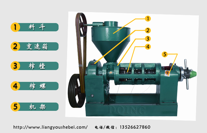 單螺旋榨油機(jī)設(shè)備的工作原理和特點(diǎn)