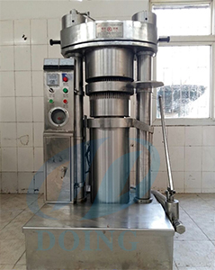 芝麻榨油機(jī)