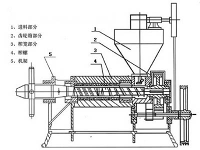 玉米榨油機結(jié)構(gòu)