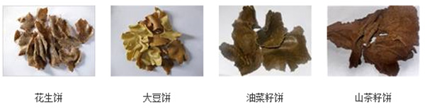 菜籽油榨油機(jī)