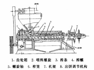 小型榨油機結(jié)構(gòu)
