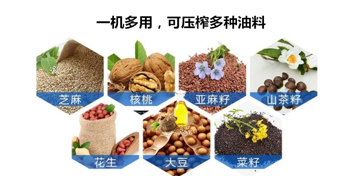液壓榨油機(jī)